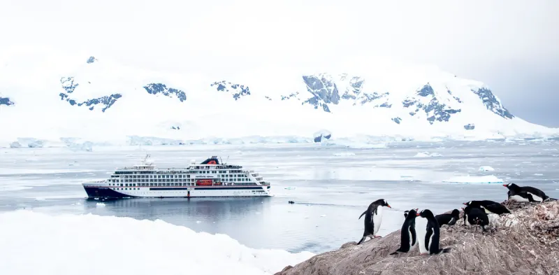 Eselspinguine auf einem Felsen in der Antarktis, dahinter ein Expeditionsschiff in der Bucht