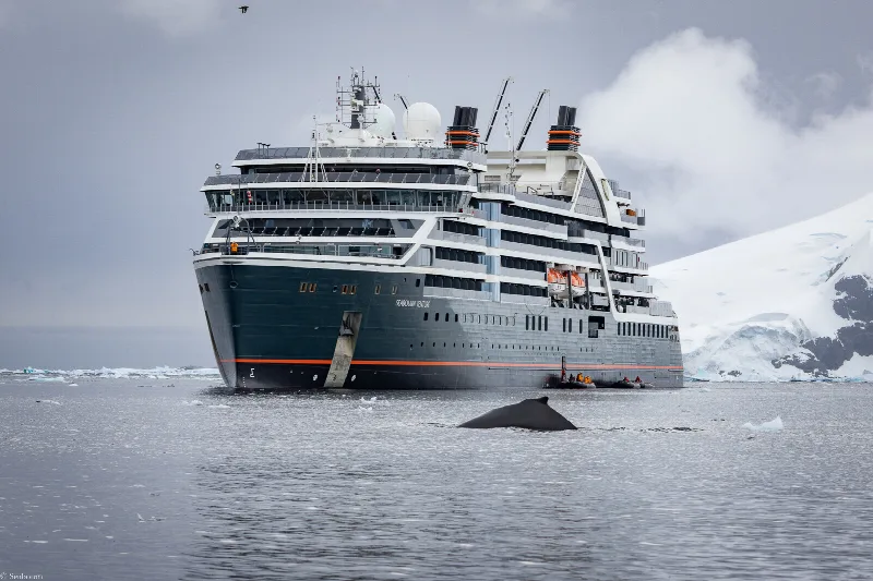 The expedition ship Seabourn Venture in Antarctica, with a humpback whale surfacing in front