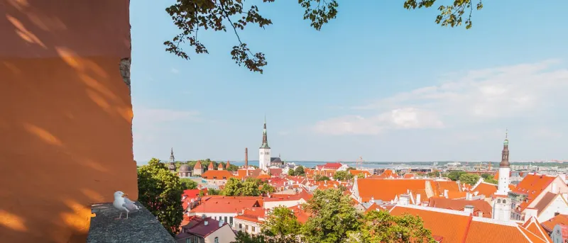View over the red roofs of Tallinn’s old town